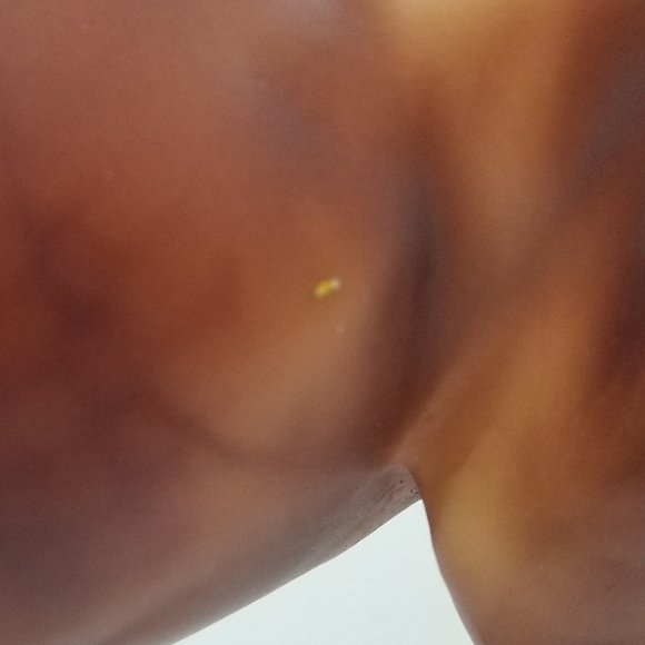 Breyer Collector Club 2018 Celeste - Picture 9 of 9